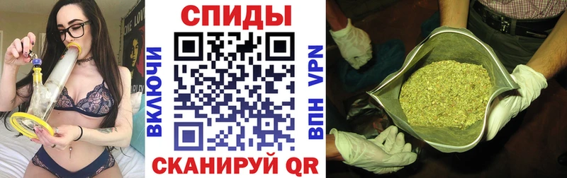 как найти   Дальнегорск  MEGA ссылка  Бутират Butirat 