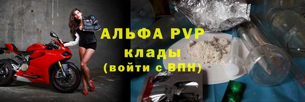 индика Богородск