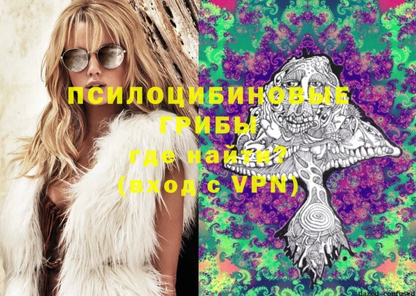 индика Богородск