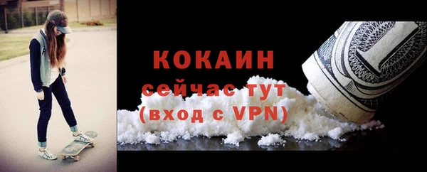 первитин Богданович