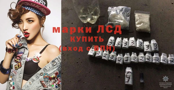 индика Богородск