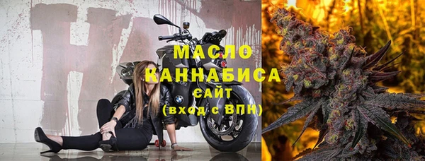 индика Богородск