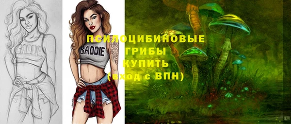 первитин Богданович