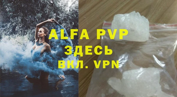 индика Богородск
