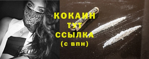 индика Богородск