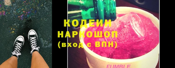 индика Богородск